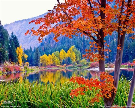 beautiful autumn desktop wallpaper|More.